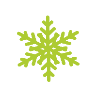 Icon Winterdienst