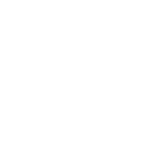 Icon Winterdienst