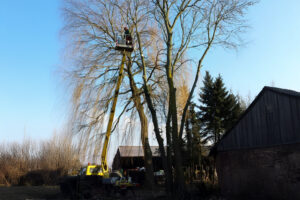 Einsatz von einem Hubsteiger für Weidenschnitt