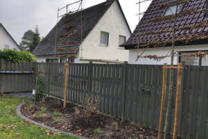 Spalierbäume als Sichtschutz